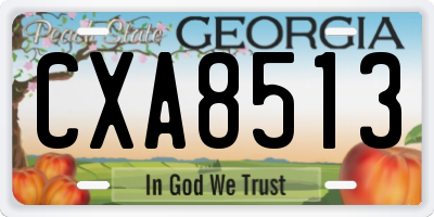 GA license plate CXA8513