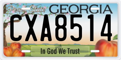 GA license plate CXA8514