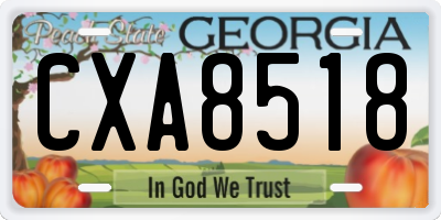 GA license plate CXA8518