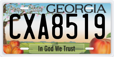 GA license plate CXA8519