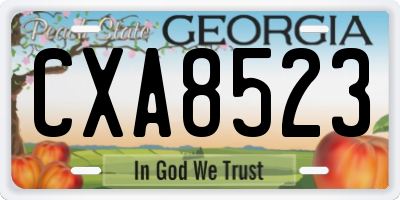 GA license plate CXA8523