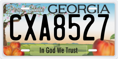 GA license plate CXA8527