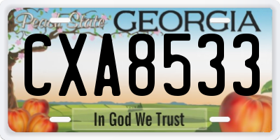 GA license plate CXA8533