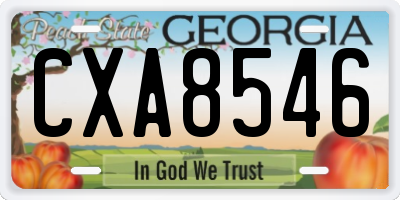 GA license plate CXA8546