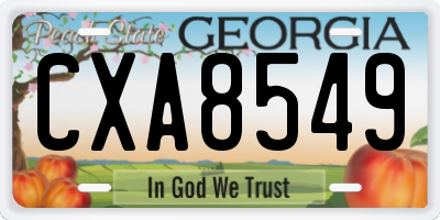 GA license plate CXA8549