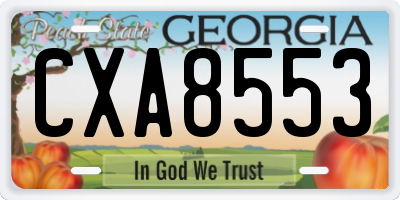 GA license plate CXA8553