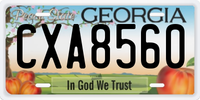 GA license plate CXA8560