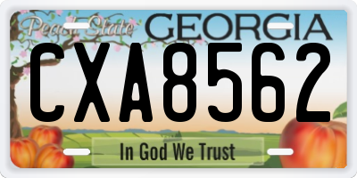 GA license plate CXA8562