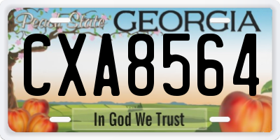 GA license plate CXA8564