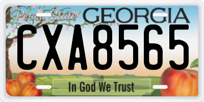 GA license plate CXA8565