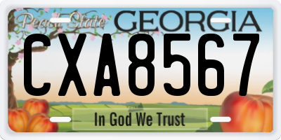 GA license plate CXA8567