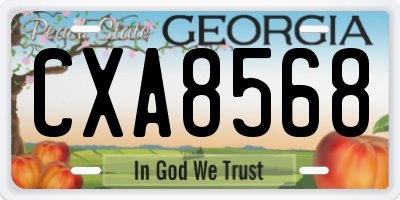 GA license plate CXA8568