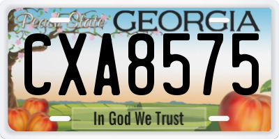GA license plate CXA8575