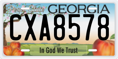 GA license plate CXA8578