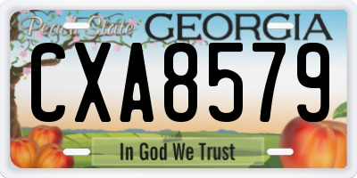 GA license plate CXA8579