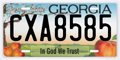 GA license plate CXA8585