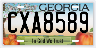 GA license plate CXA8589