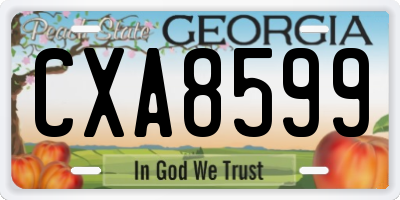 GA license plate CXA8599
