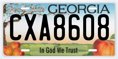 GA license plate CXA8608