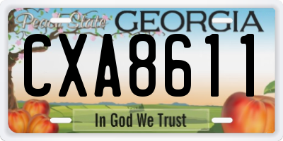 GA license plate CXA8611