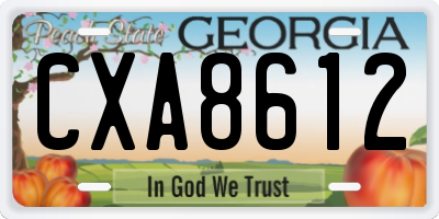 GA license plate CXA8612