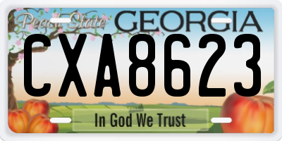 GA license plate CXA8623