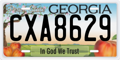 GA license plate CXA8629