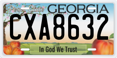 GA license plate CXA8632
