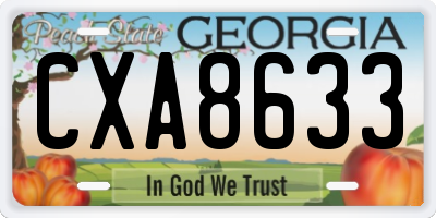 GA license plate CXA8633