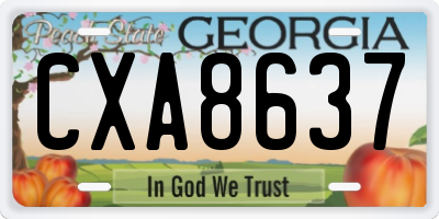 GA license plate CXA8637