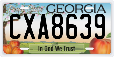 GA license plate CXA8639