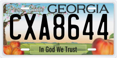 GA license plate CXA8644
