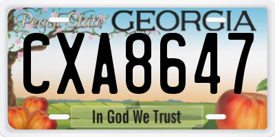 GA license plate CXA8647