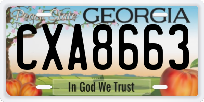 GA license plate CXA8663