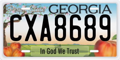 GA license plate CXA8689