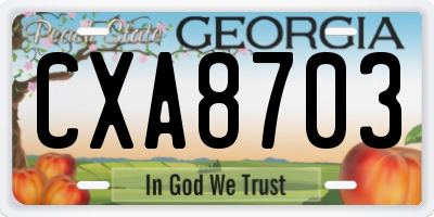 GA license plate CXA8703