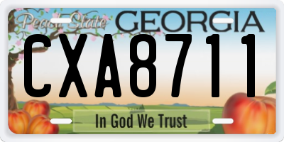 GA license plate CXA8711
