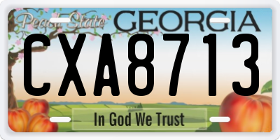 GA license plate CXA8713