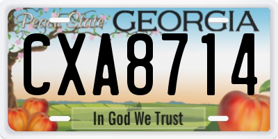 GA license plate CXA8714