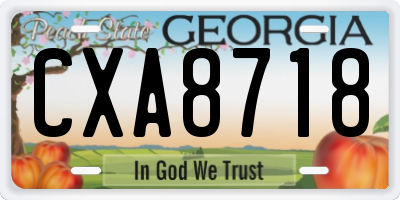 GA license plate CXA8718