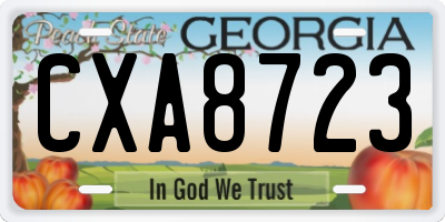 GA license plate CXA8723