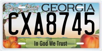 GA license plate CXA8745