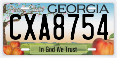 GA license plate CXA8754
