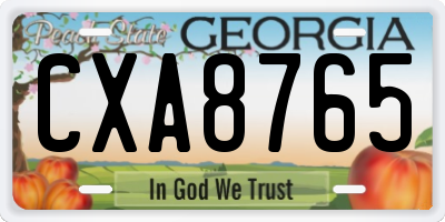 GA license plate CXA8765