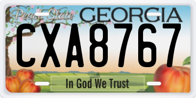 GA license plate CXA8767