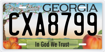 GA license plate CXA8799