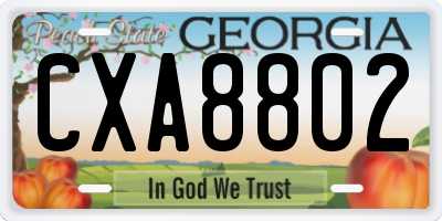 GA license plate CXA8802