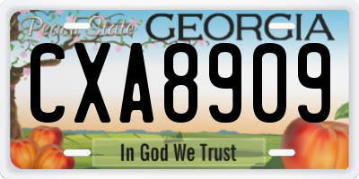 GA license plate CXA8909