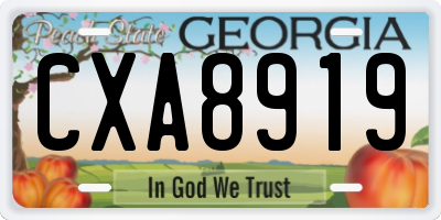 GA license plate CXA8919