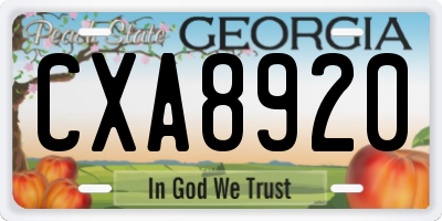 GA license plate CXA8920